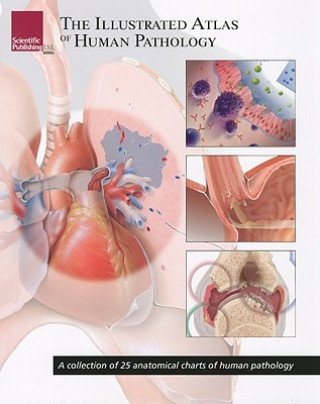 Kniha Illustrated Atlas of Human Pathology Scientific Publishing