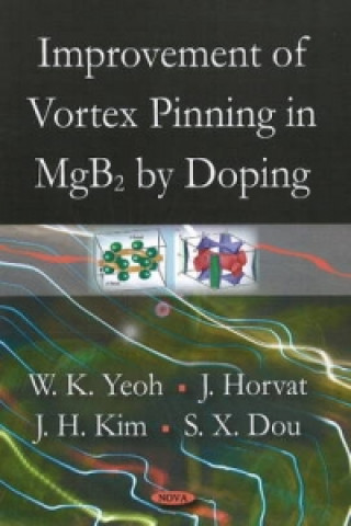 Buch Improvement of Vortex Pinning in MgB2 by Doping S.X. Dou