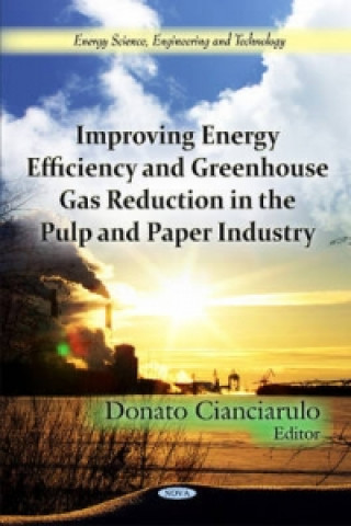 Knjiga Improving Energy Efficiency & Greenhouse Gas Reduction in the Pulp & Paper Industry 