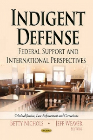 Buch Indigent Defense 