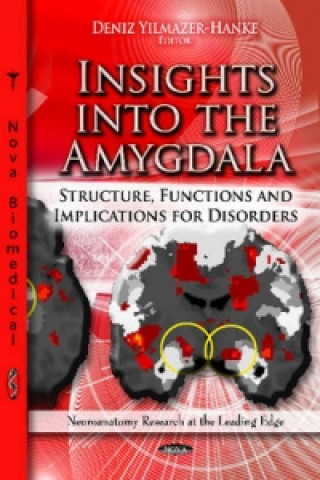 Könyv Insights into the Amygdala 