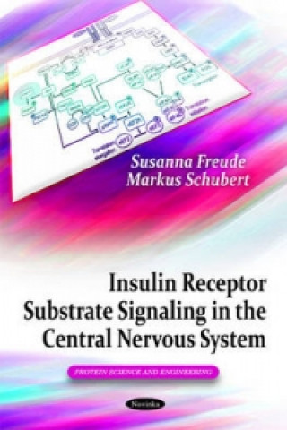 Könyv Insulin Receptor Substrate Signaling in the Central Nervous System Markus Schubert