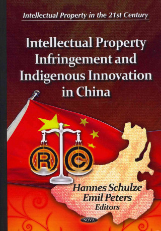 Kniha Intellectual Property Infringement & Indigenous Innovation in China 