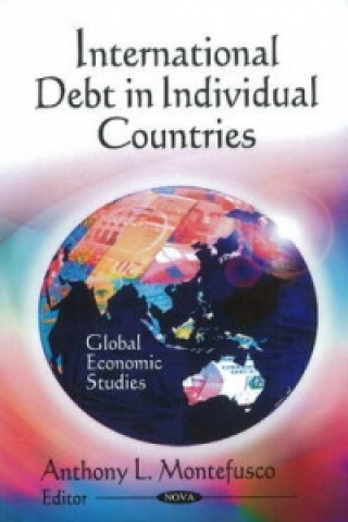 Könyv International Debt in Individual Countries 