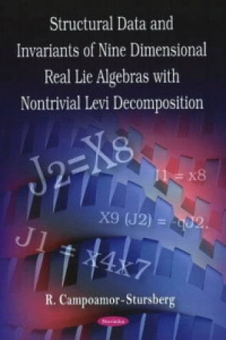 Könyv Invariants of Nine Dimensional Real Lie Algebras with Nontrivial Levi Decomposition R Campoamor-Stursberg
