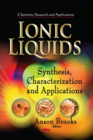 Kniha Ionic Liquids 