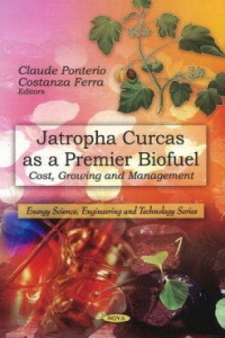 Kniha Jatropha Curcas as a Premier Biofuel 