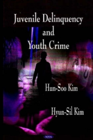 Kniha Juvenile Delinquency & Youth Crime Hyun-Sil Kim