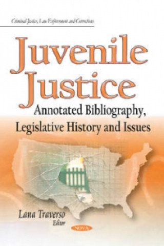 Könyv Juvenile Justice 