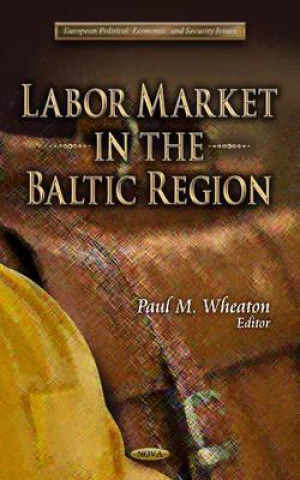 Buch Labor Market in the Baltic Region 