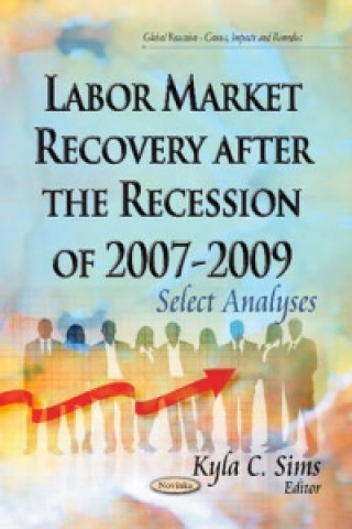 Buch Labor Market Recovery After the Recession of 2007-2009 