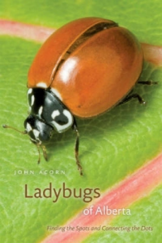 Kniha Ladybugs of Alberta John Acorn