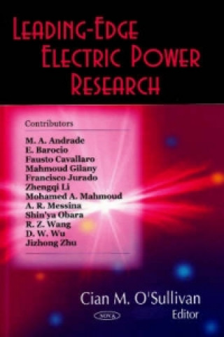 Book Leading-Edge Electric Power Research 