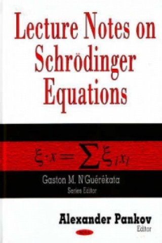 Kniha Lecture Notes on Schroedinger Equations 