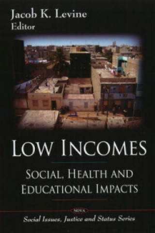 Книга Low Incomes 