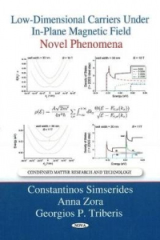 Book Low-Dimensional Carriers Under In-Plane Magnetic Field Georgios P. Triberis