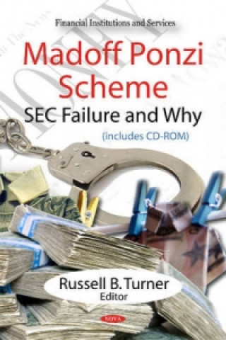 Könyv Madoff Ponzi Scheme 