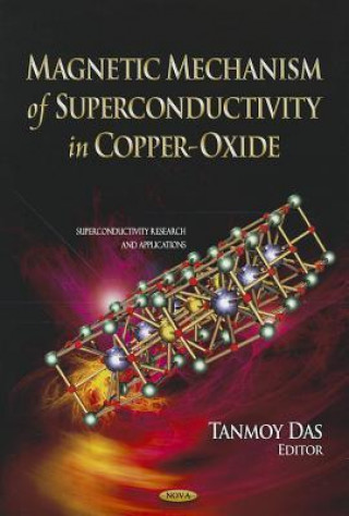 Könyv Magnetic Mechanism of Superconductivity in Copper-Oxide 