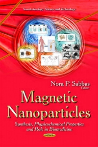 Kniha Magnetic Nanoparticles 