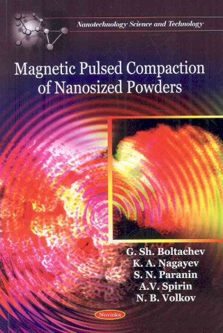 Könyv Magnetic Pulsed Compaction of Nanosized Powders N.B. Volkov