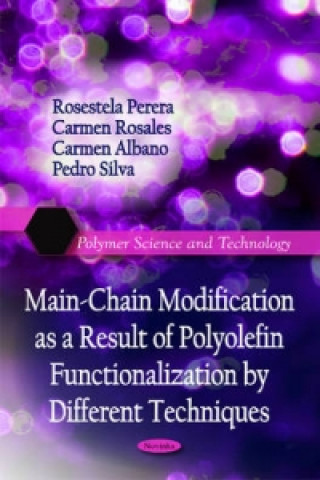 Könyv Main-Chain Modification as a Result of Polyolefin Functionalization by Different Techniques Pedro Silva