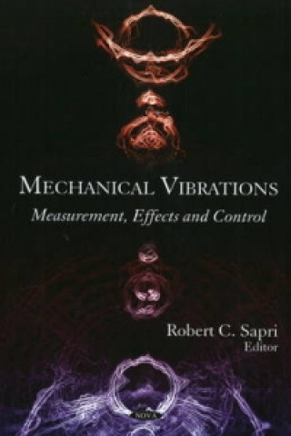 Könyv Mechanical Vibrations 