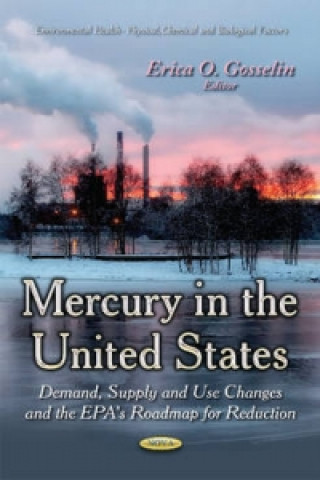 Buch Mercury in the United States 