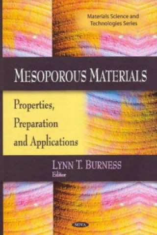 Knjiga Mesoporous Materials 