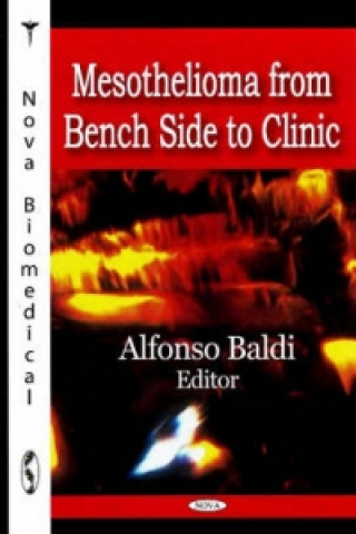 Kniha Mesothelioma from Bench Side to Clinic Alfonso Baldi