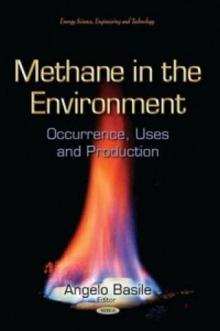 Kniha Methane in the Environment 