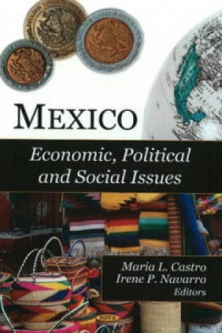 Könyv Mexico Irene P. Navarro