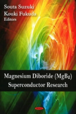 Könyv Magnesium Diboride (MgB2) Superconductor Research 