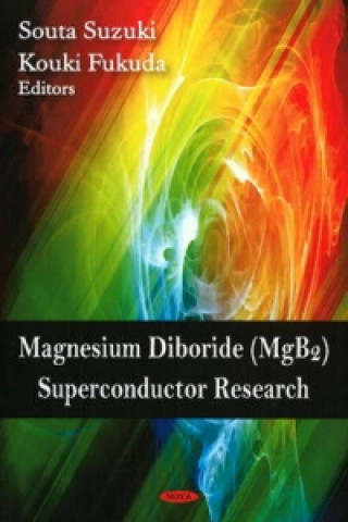 Książka Magnesium Diboride (MgB2) Superconductor Research 