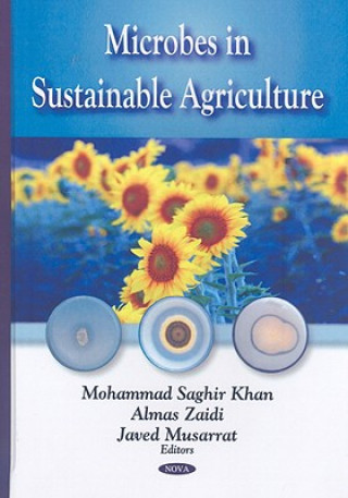 Carte Microbes in Sustainable Agriculture Javed Musarrat