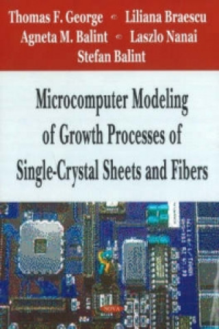 Kniha Microcomputer Modeling of Growth Processes of Single-Crystal Sheets & Fibers Stefan Balint