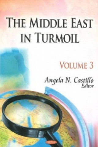 Книга Middle East in Turmoil 