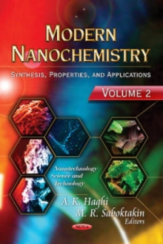 Carte Modern Nanochemistry A. K. Haghi