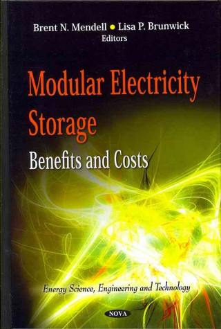 Książka Modular Electricity Storage Brent N. Mendell