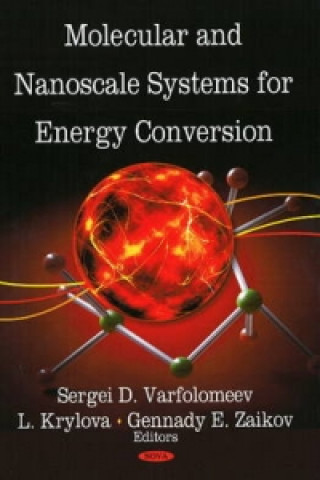 Knjiga Molecular & Nanoscale Systems for Energy Conversion 