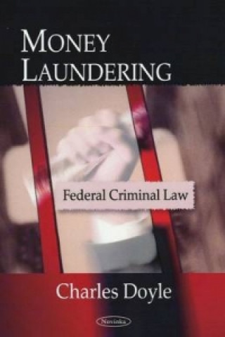 Kniha Money Laundering 