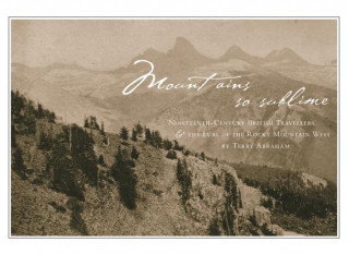 Knjiga Mountains So Sublime Terry Abraham