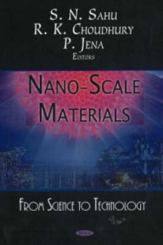 Knjiga Nano-Scale Materials P Jena