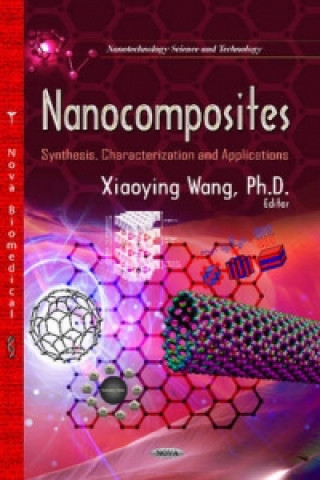 Kniha Nanocomposites 