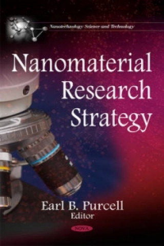 Kniha Nanomaterial Research Strategy 