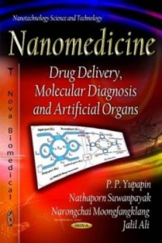 Könyv Nanomedicine Jalil Ali