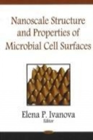 Książka Nanoscale Structure & Properties of Microbial Cell Surfaces 