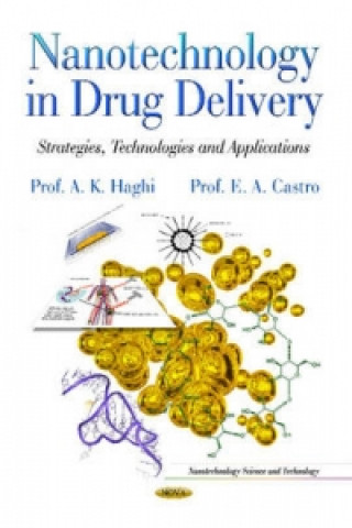 Livre Nanotechnology in Drug Delivery E. A. Castro