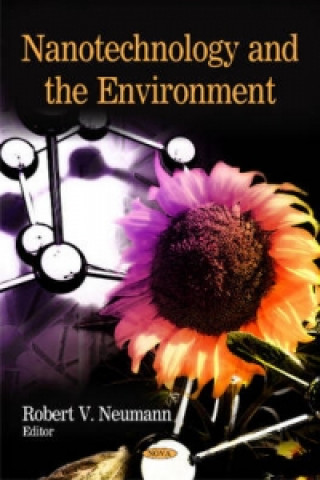 Kniha Nanotechnology & the Environment 