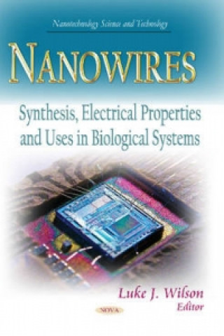 Könyv Nanowires 