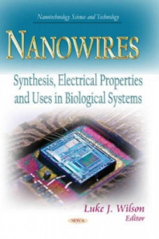 Libro Nanowires 